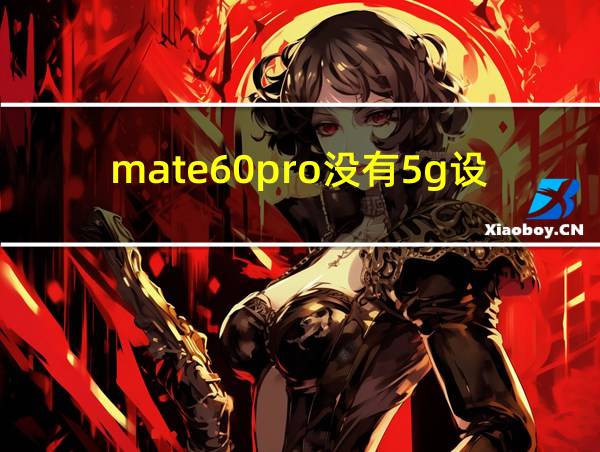 mate60pro没有5g设置的相关图片