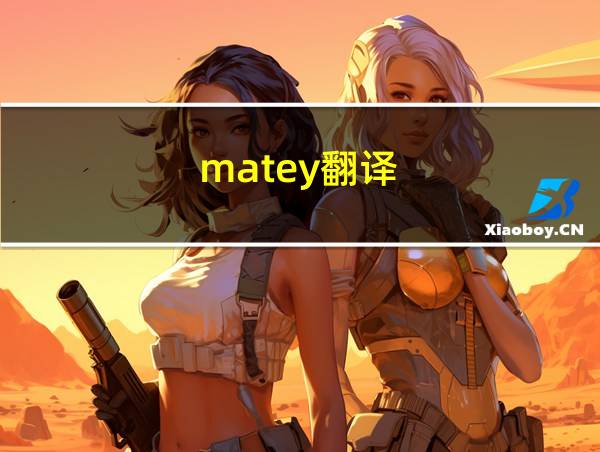 matey翻译的相关图片