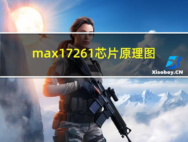 max17261芯片原理图的相关图片