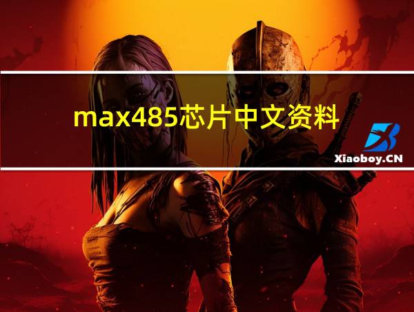 max485芯片中文资料的相关图片