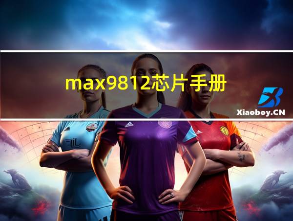 max9812芯片手册的相关图片