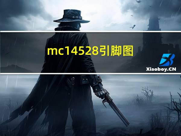 mc14528引脚图的相关图片