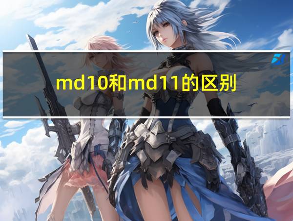 md10和md11的区别的相关图片