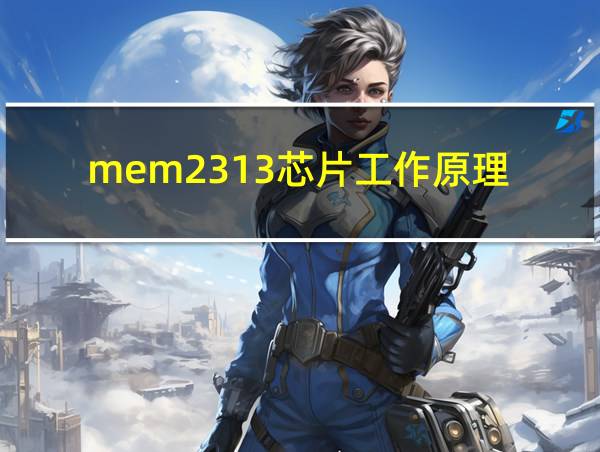 mem2313芯片工作原理的相关图片