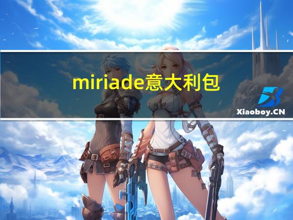 miriade意大利包的相关图片