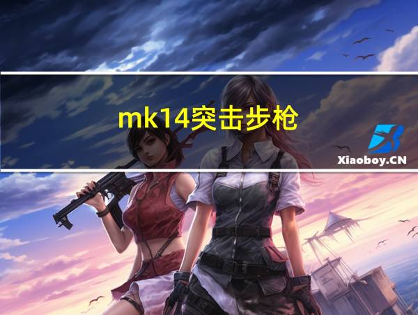 mk14突击步枪的相关图片