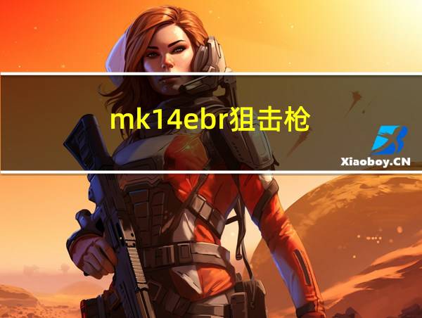 mk14ebr狙击枪的相关图片