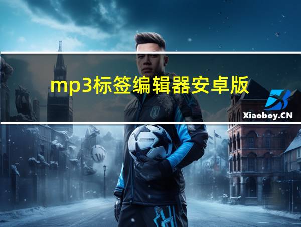 mp3标签编辑器安卓版的相关图片