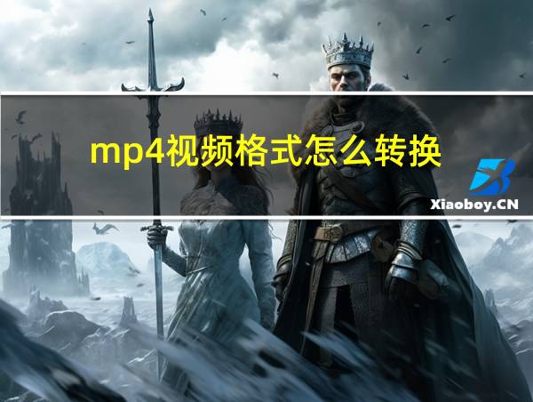 mp4视频格式怎么转换的相关图片