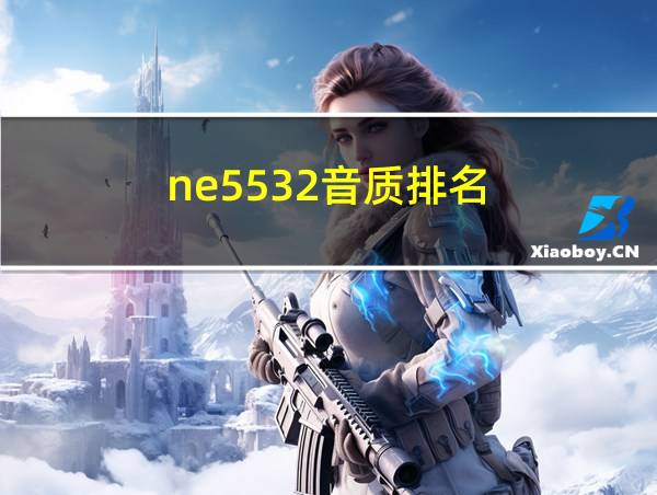 ne5532音质排名的相关图片