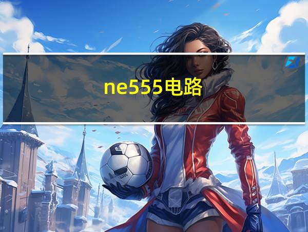 ne555电路的相关图片