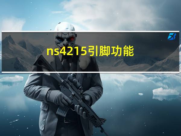 ns4215引脚功能的相关图片