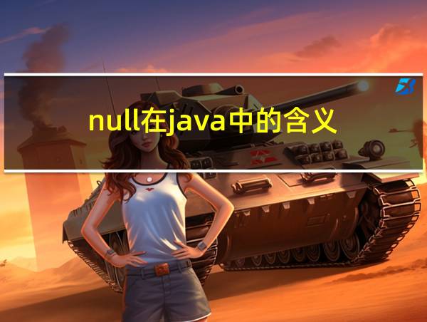 null在java中的含义的相关图片