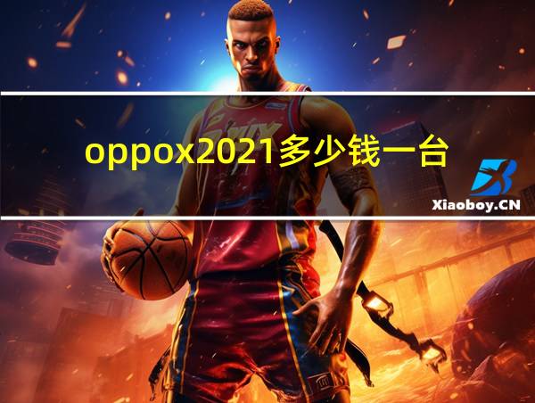 oppox2021多少钱一台的相关图片