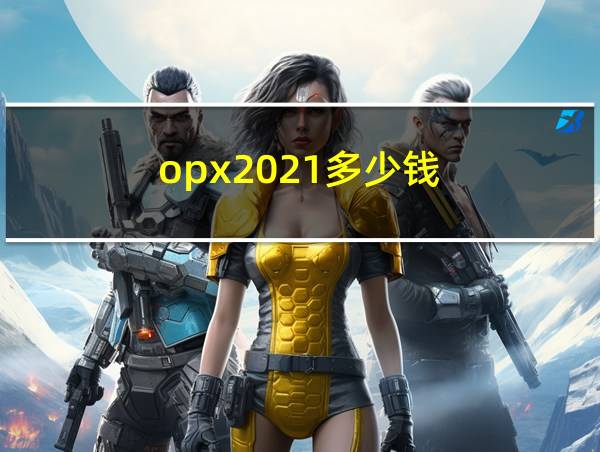 opx2021多少钱的相关图片