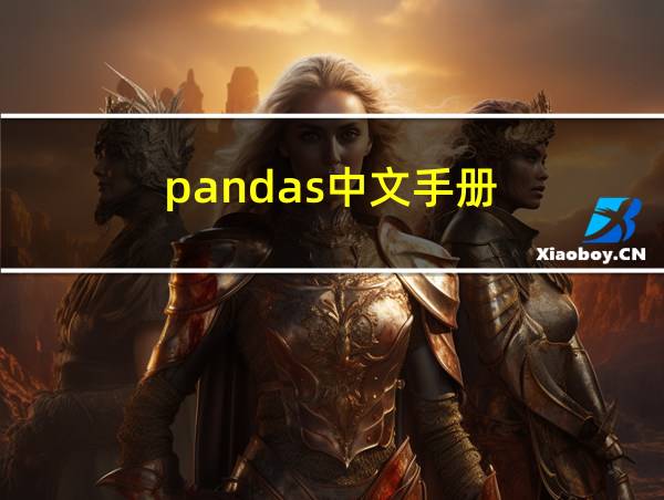 pandas中文手册的相关图片