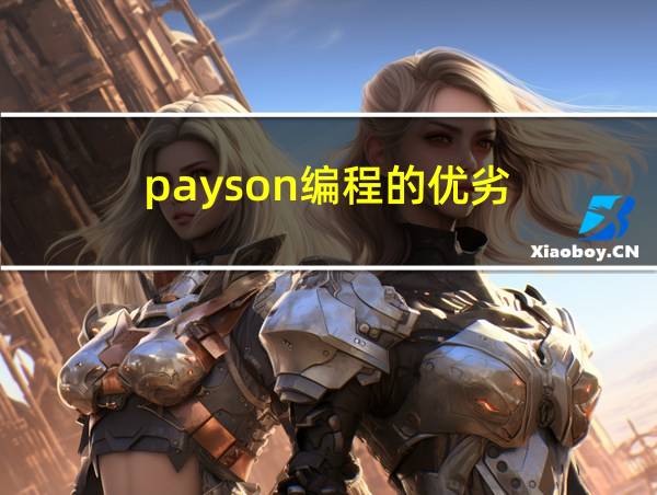 payson编程的优劣的相关图片