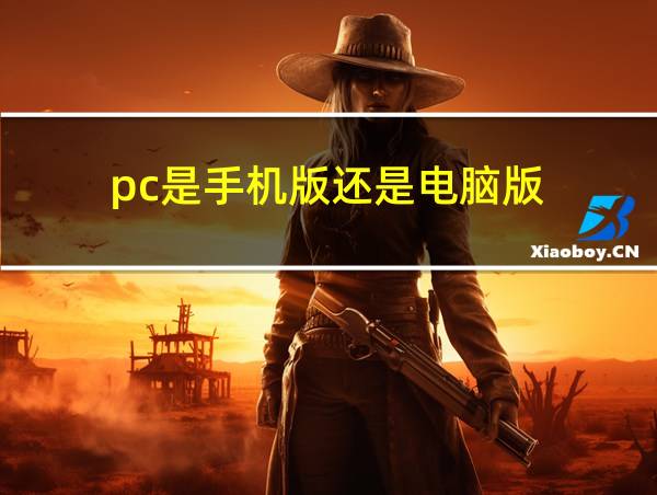 pc是手机版还是电脑版的相关图片