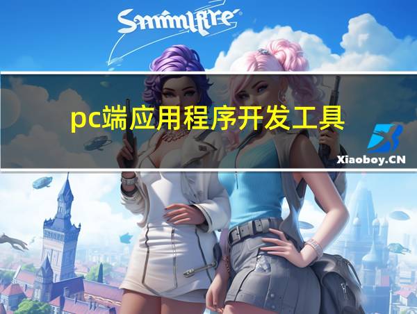 pc端应用程序开发工具的相关图片