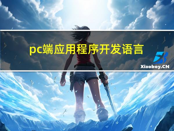 pc端应用程序开发语言的相关图片