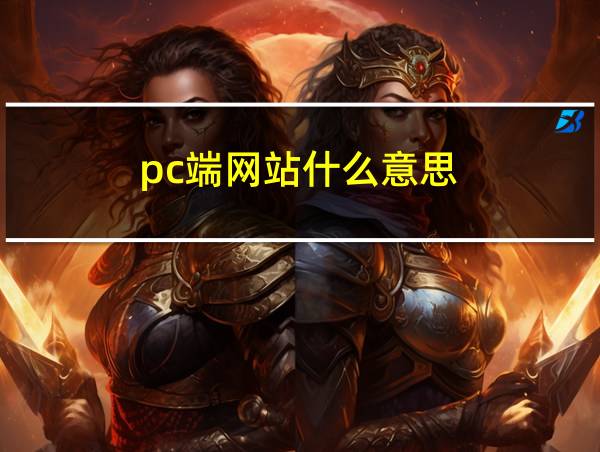 pc端网站什么意思的相关图片