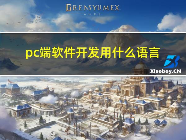 pc端软件开发用什么语言的相关图片