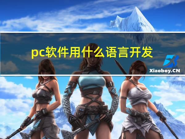 pc软件用什么语言开发的相关图片