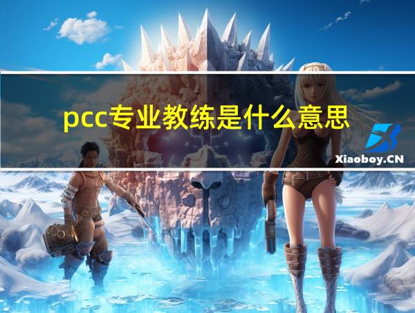 pcc专业教练是什么意思的相关图片