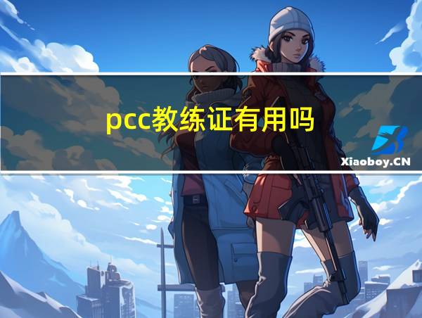 pcc教练证有用吗的相关图片