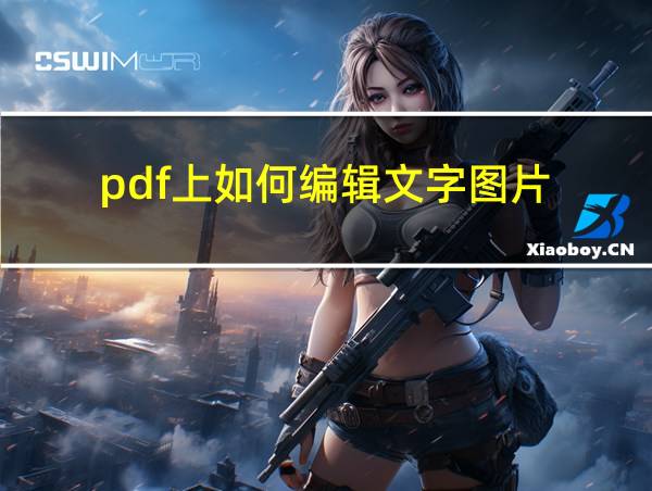 pdf上如何编辑文字图片的相关图片