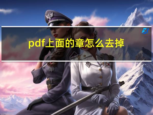 pdf上面的章怎么去掉的相关图片