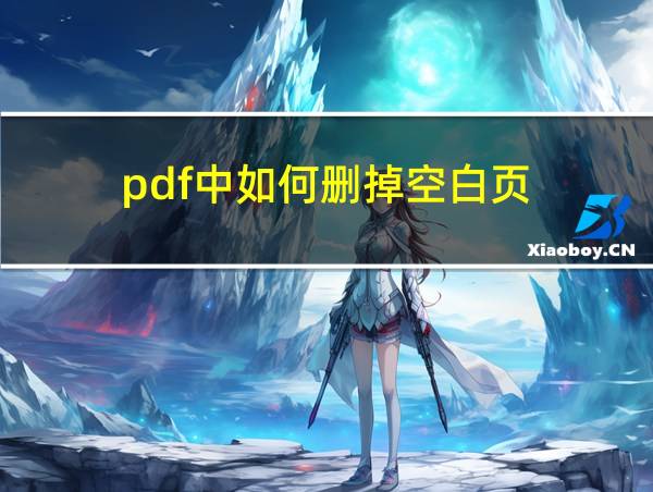 pdf中如何删掉空白页的相关图片