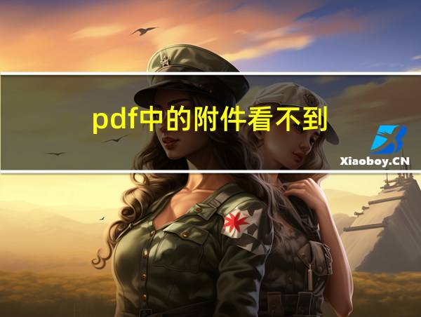 pdf中的附件看不到的相关图片