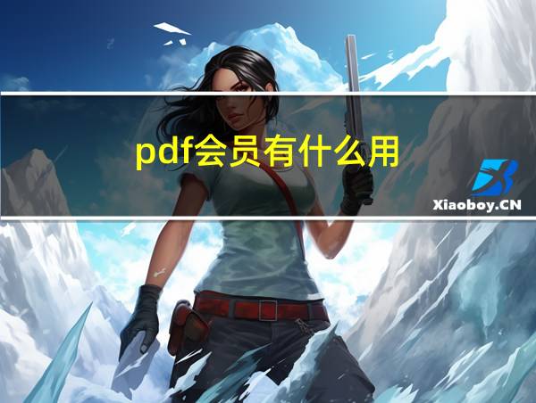 pdf会员有什么用的相关图片