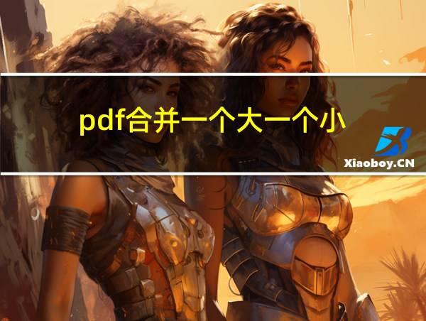 pdf合并一个大一个小的相关图片