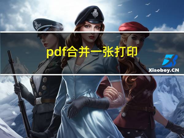 pdf合并一张打印的相关图片