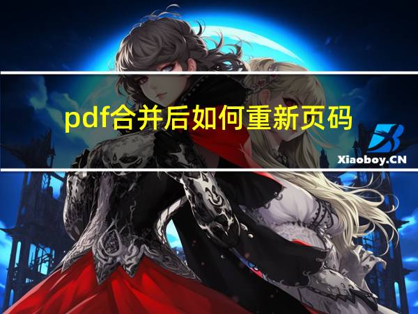 pdf合并后如何重新页码的相关图片