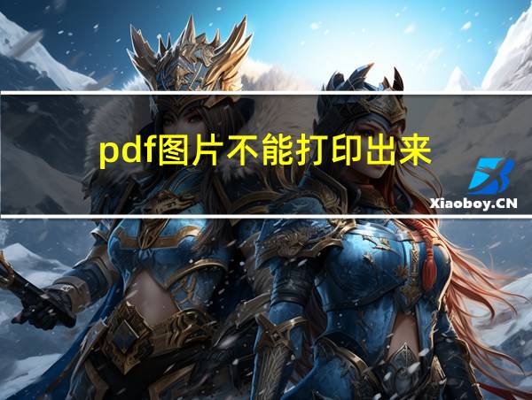 pdf图片不能打印出来的相关图片