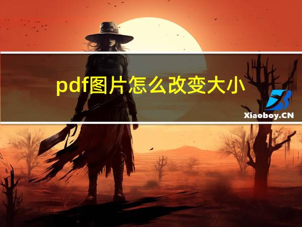 pdf图片怎么改变大小的相关图片