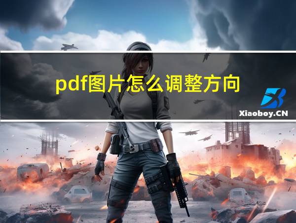 pdf图片怎么调整方向的相关图片