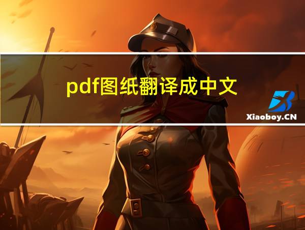 pdf图纸翻译成中文的相关图片