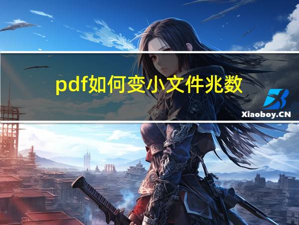 pdf如何变小文件兆数的相关图片