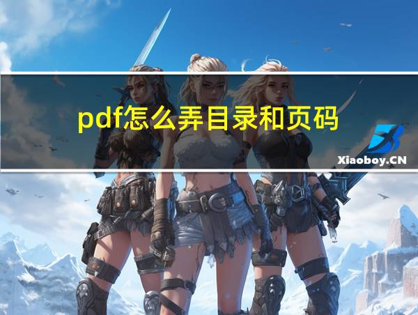 pdf怎么弄目录和页码的相关图片