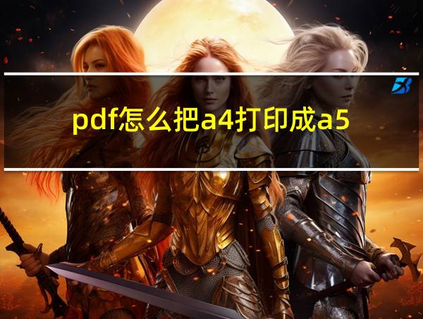 pdf怎么把a4打印成a5的相关图片