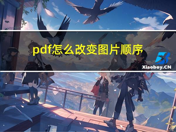 pdf怎么改变图片顺序的相关图片