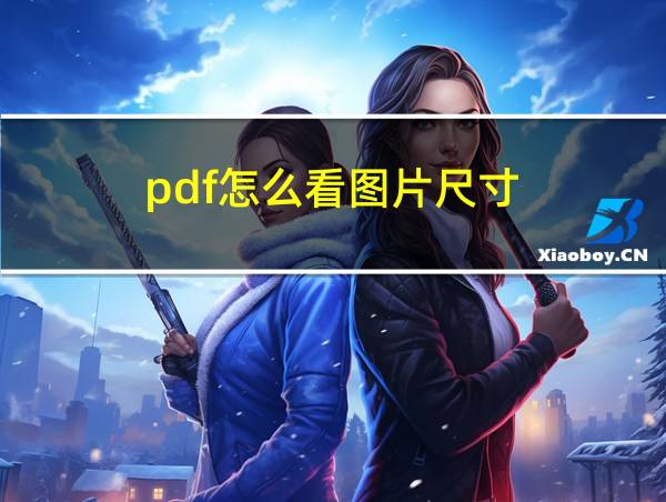 pdf怎么看图片尺寸的相关图片