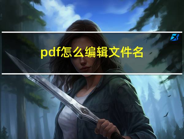 pdf怎么编辑文件名的相关图片