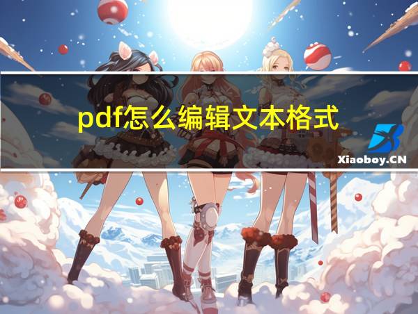 pdf怎么编辑文本格式的相关图片