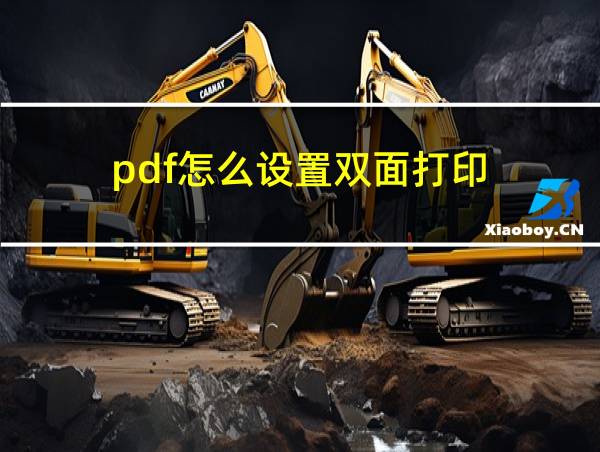 pdf怎么设置双面打印的相关图片