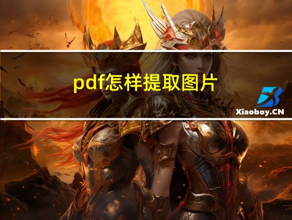 pdf怎样提取图片的相关图片